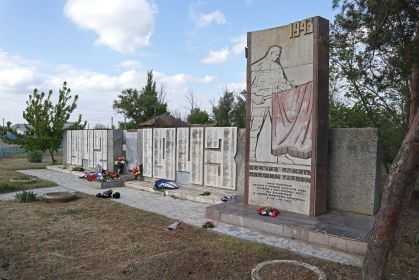 Общий вид