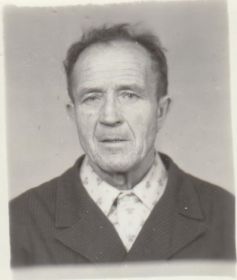Николай Ефимович Будиков