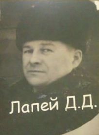 Лапей Д.Д