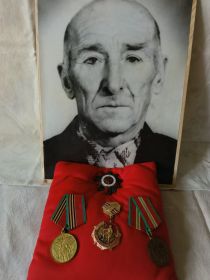 Портрет с наградами