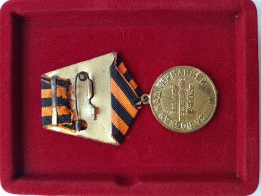 Медаль «За Победу над Германией в Великой Отечественной войне 1941—1945 гг.»