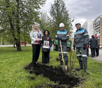 Сад Памяти 2026г. Новокузнецк. Посадка лип. (Новоильинский район)