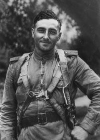 Воздушный стрелок: ФЕЛЬДМАН МОРДКО ЦУДИКОВИЧ (1922-1945, уволен в запас), старший сержант.