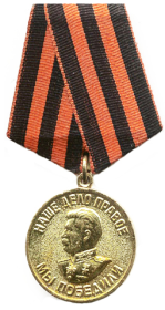 Медаль за победу над Германией в Великой Отечественной войне 1941-1945 г.г.