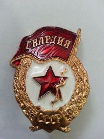 Нагрудный знак «Гва́рдия»