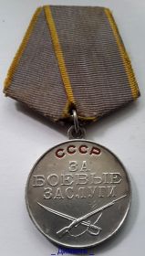 Медаль " За боевые заслуги" Приказ:327/н от 20.09.1945 по 243стрелковой дивизии