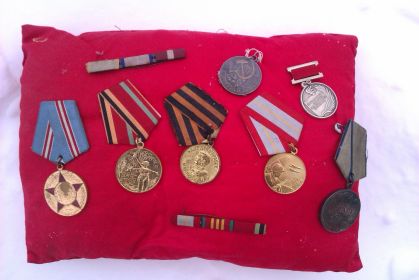 Медаль «За отвагу», Медаль «За победу над Германией в Великой Отечественной войне», Юбилейные медали к годовщинам Победы