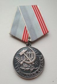 медаль ВЕТЕРАН ТРУДА