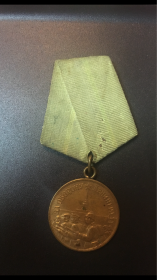 Медаль «За оборону Ленинграда», Медаль «За отвагу»