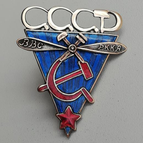 Нагрудный знак авиационной школы ВВС РККА