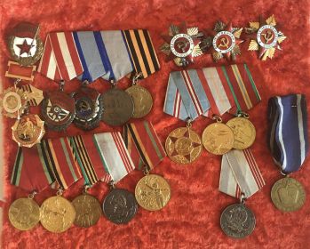 Юбилейные медали, Орден Трудового Красного Знамени, медаль Ветерана труда