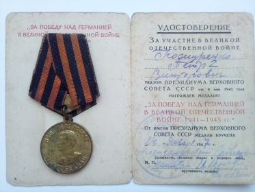 За победу над Германией