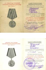 Медали: «За победу над Германией  в Великой Отечественной войне 1941-1945 гг.», «Двадцать лет Победы в Великой Отечественной войне 1941-1945 гг.»
