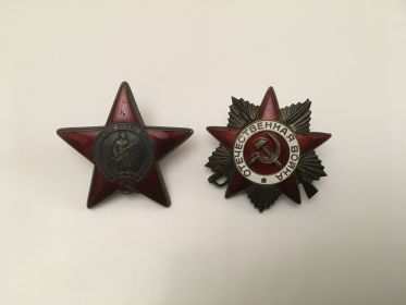 Орден Красной звезды (1968г.), орден Отечественной войны I степени (1985г.)