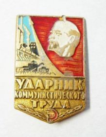 Знак отличия:ударник коммунистического труда.