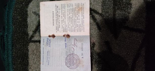 Орден Красной Звёзды, Медаль "за Отвагу"