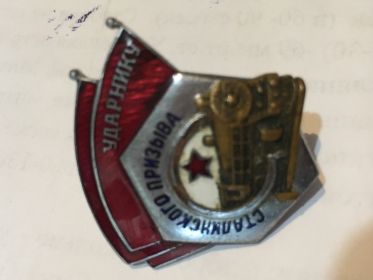 Ведомственный знак отличия «Ударник Сталинского призыва»