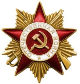 Орден Отечественной войны 1 степени ( Приказ Министра обороны 06.04.1985 )