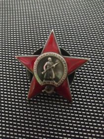 Орден Красной звезды №41583