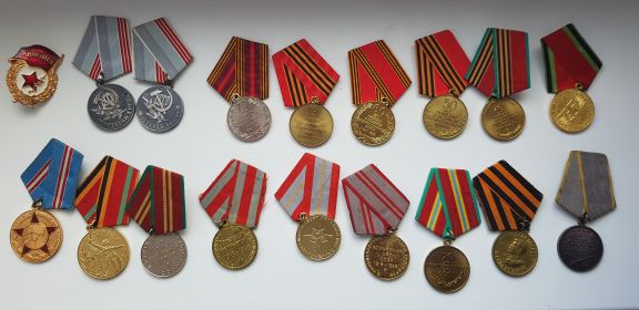 Медаль «За боевые заслуги» и много других медалей, предаставленных на фото.