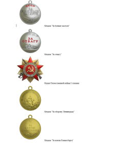 Медаль "За боевые заслуги"  Медаль "За отвагу"  Орден Отечественной войны I степени  Медаль "За оборону Ленинграда"   Медаль "За взятие Кенигсберга"