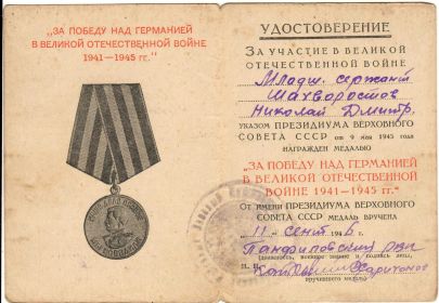 Медаль "За победу над Германией"