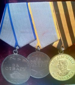 Медали: «За отвагу», «За боевые заслуги», «За победу над Германией в ВОВ».