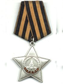Орден Славы  III  степени