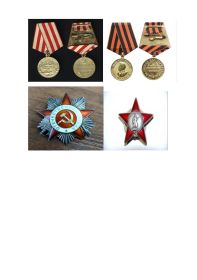 Медаль «За оборону Москвы», Медаль «За победу над Германией», Орден Отечественной войны II степени, Орден« Красная звезда»,