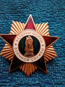 Знак отличия «Ветеран войны военной службы»