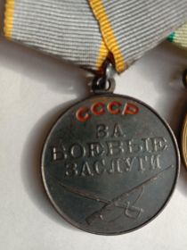 Медаль за боевые заслуги