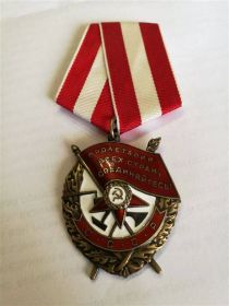 Орден Красного Знамени №169156