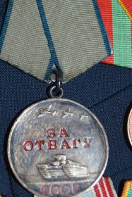 Указом президиума Верховного Совета от 4 мая 1945 года Шамахов Иван Николаевич был награжден медалью «За отвагу».