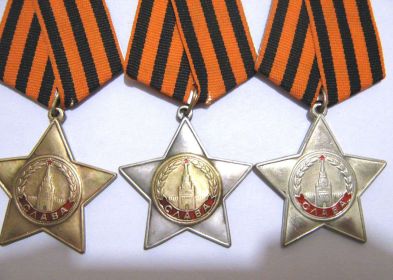 Полный Кавалер Ордена Славы