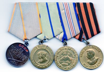 медаль За Оборону Севастополя, За Оборону Кавказа, За боевые заслуги, За победу над Германией