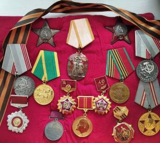 Два Ордена Красной Звезды и множество медалей