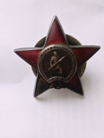 Орден Красной Звезды N 1461285
