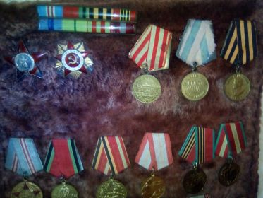 ордена Красной звезды, Отечественной войны, медали за оборону Москвы,за освобождение Праги, за победу над Германией и юбилейные