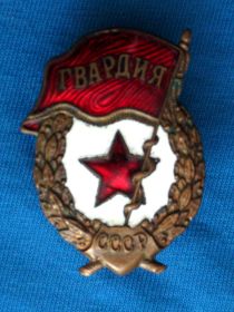 Гвардии полковник