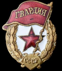Нагрудный Знак Гвардии