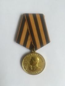 Медаль «За победу над Германией в Великой Отечественной войне 1941—1945 гг.»