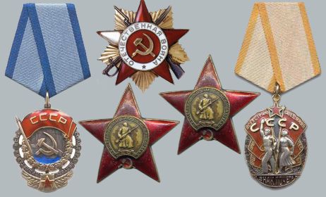 Два ордена Красной звезды,орден Трудового Красного Знамени, орден «Знак Почёта» орден Отечественной войны 1-й степени