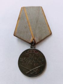 Медаль "За боевые заслуги" N 703160