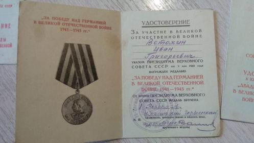 медаль "За Победу над Германией в Великой Отечественной Войне 1941-1945гг."