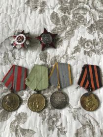 Орден Красной Звезды, Орден Отечественной войны II степени, Медаль "За боевые заслуги", Медаль "За победу над Герамнией"