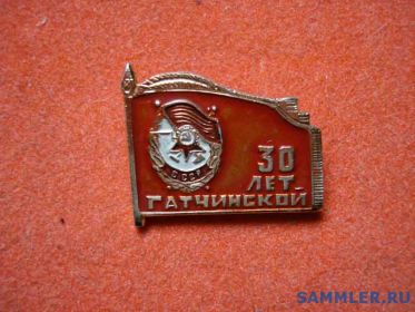 Знак "Гатчинская дивизия"