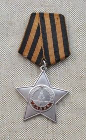 Орден Славы III степени,