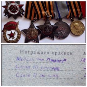 Медаль "За Отвагу" , Орден Славы 3 степени, Орден Славы 2 степени, Медаль "За победу над Германией в Великой Отечественной войне 1941-1945 гг."