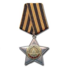 Орден Славы 2-й степени       (№ 4914)