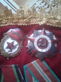 Боевые награды: Орден Славы 3 степени, Орден Отечественной войны 1 степени, медали «За Отвагу», «За победой над Германией», юбилейные медали.
